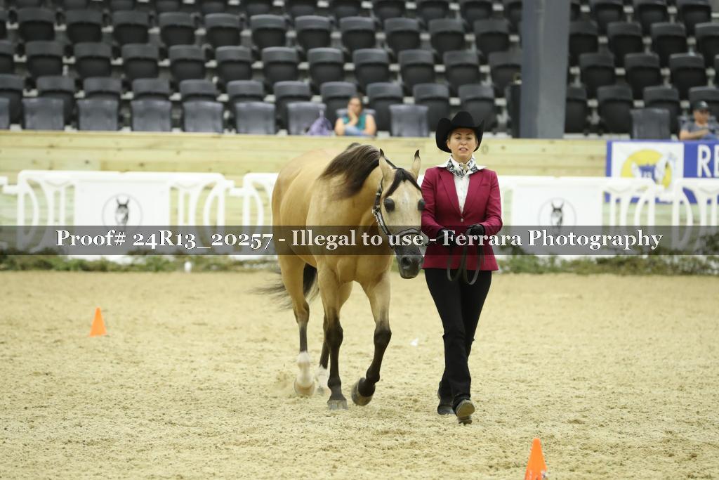 Proof 24R13_20257