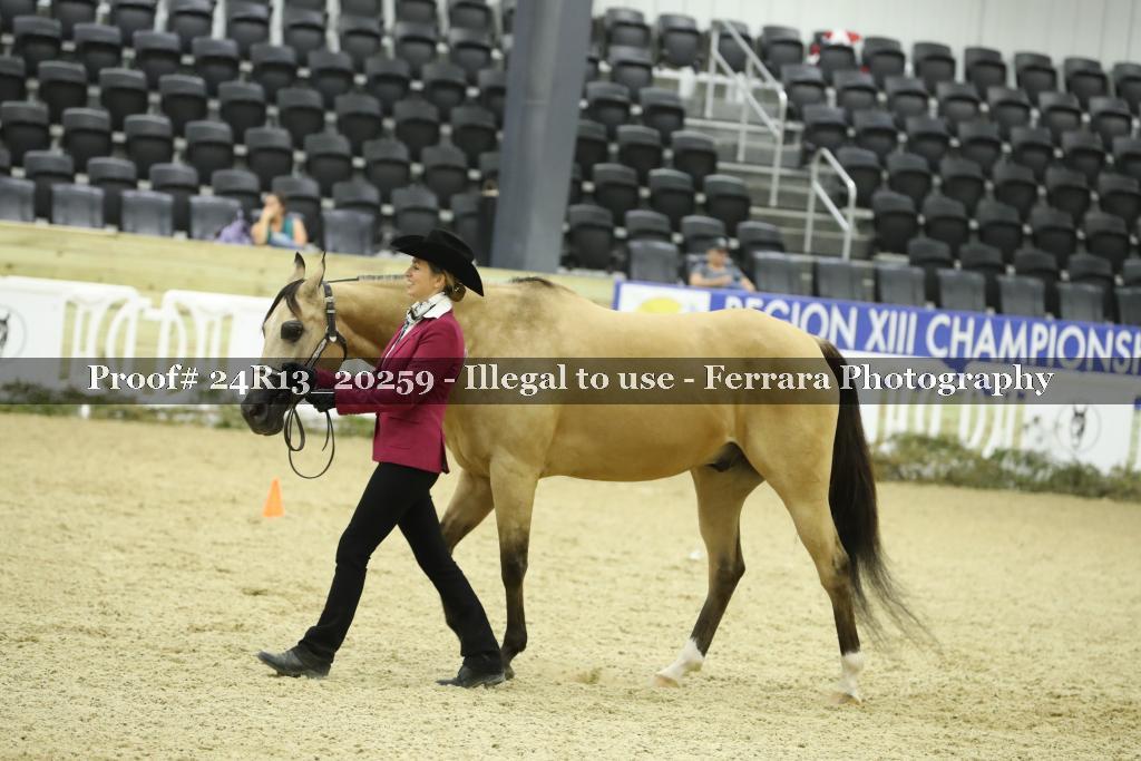 Proof 24R13_20259
