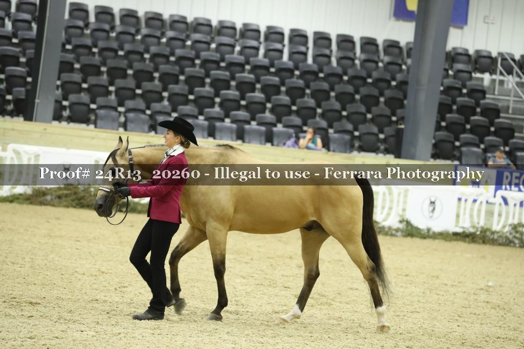 Proof 24R13_20260
