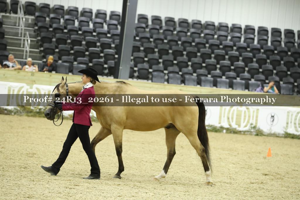 Proof 24R13_20261