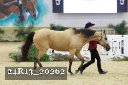 24R13_20262 proof
