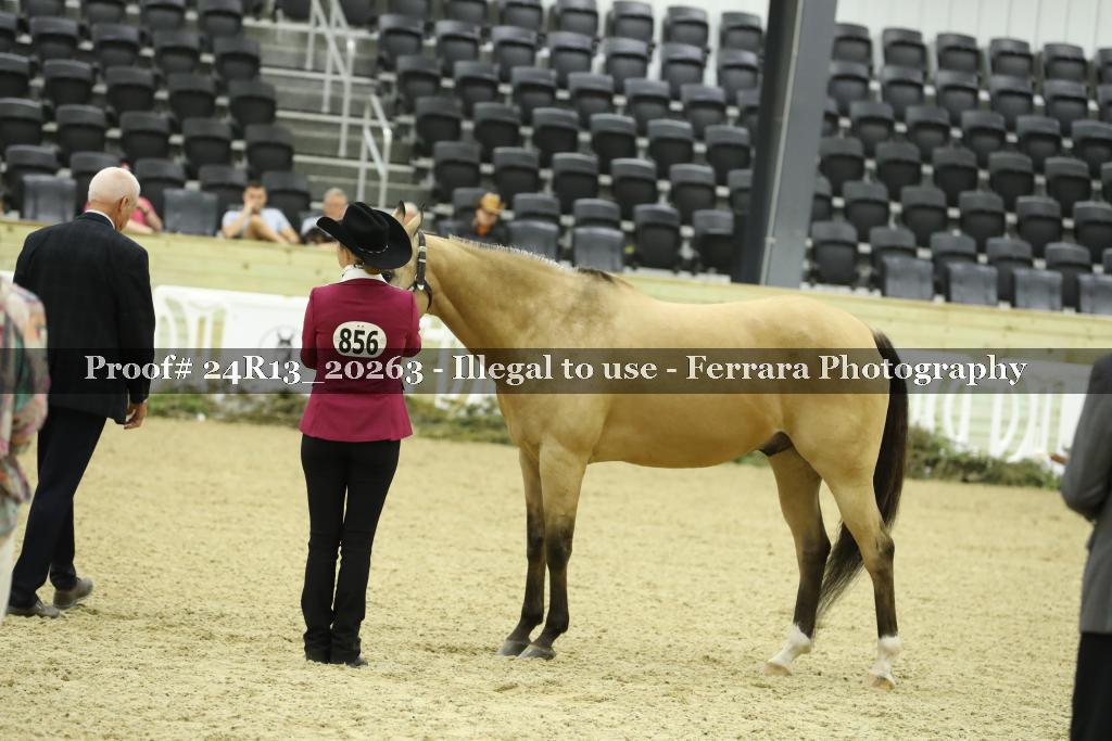 Proof 24R13_20263