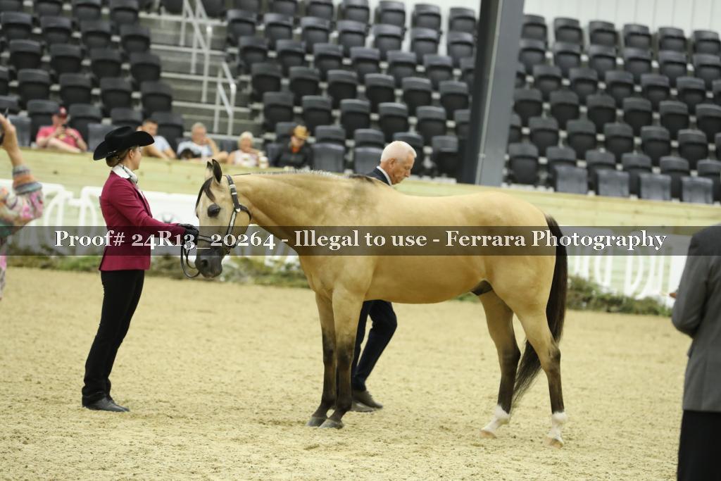 Proof 24R13_20264