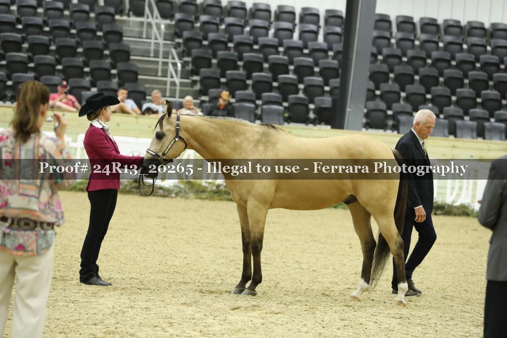 Proof 24R13_20265