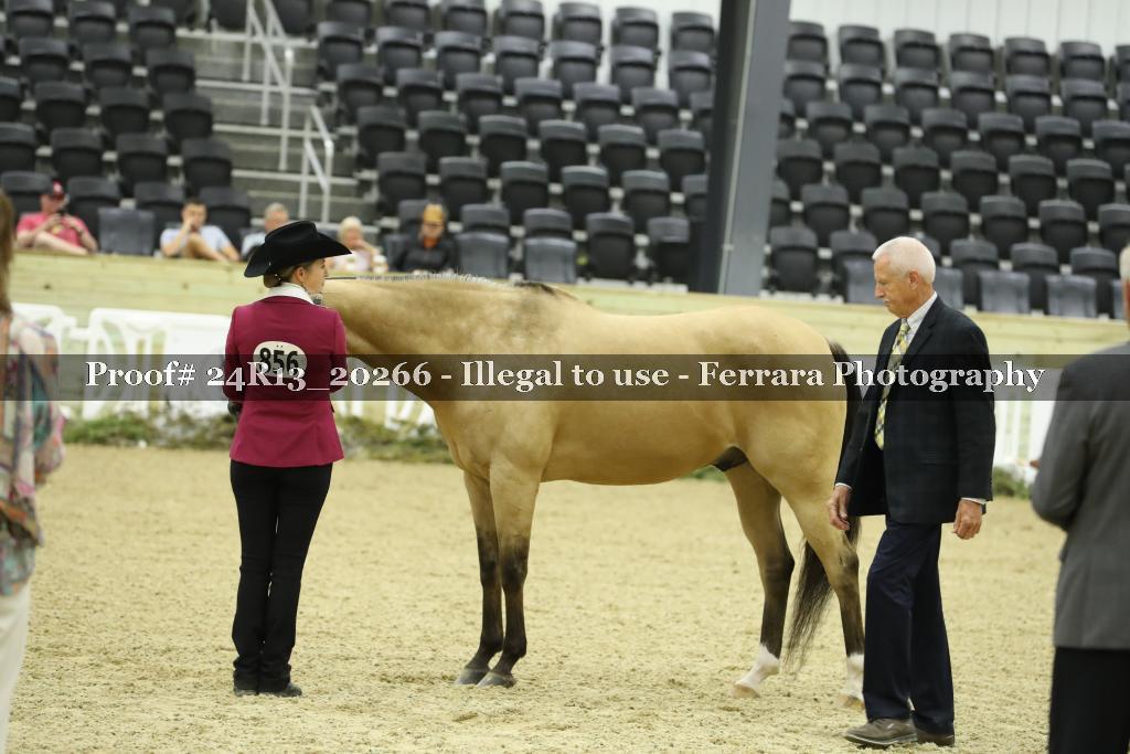 Proof 24R13_20266