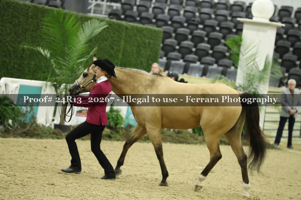 Proof 24R13_20267