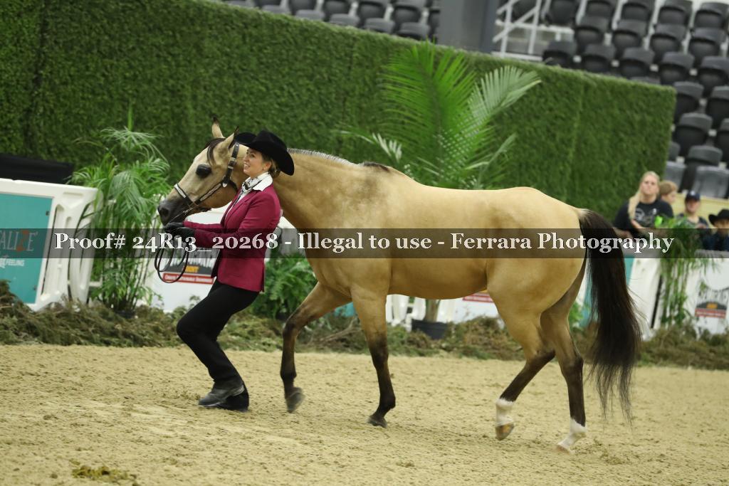 Proof 24R13_20268