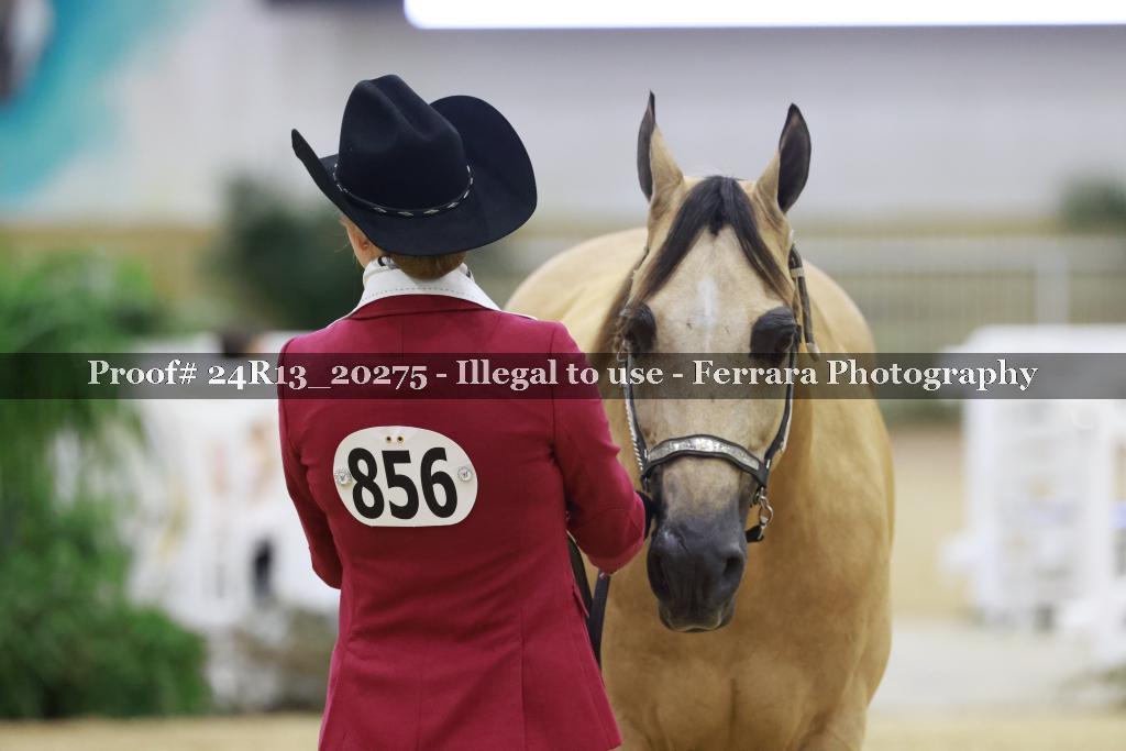 Proof 24R13_20275