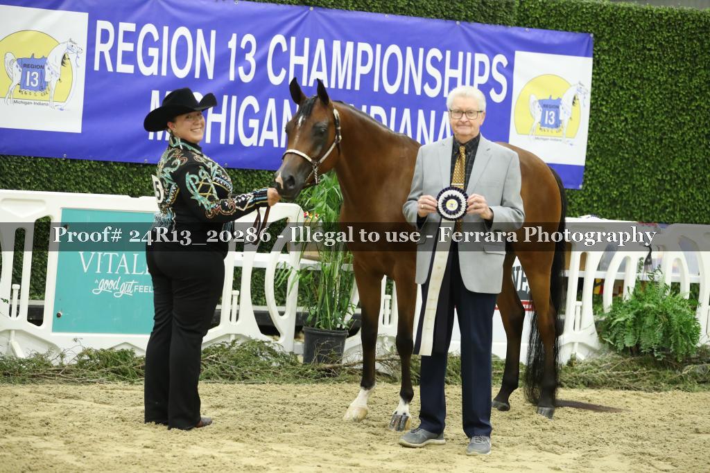 Proof 24R13_20286