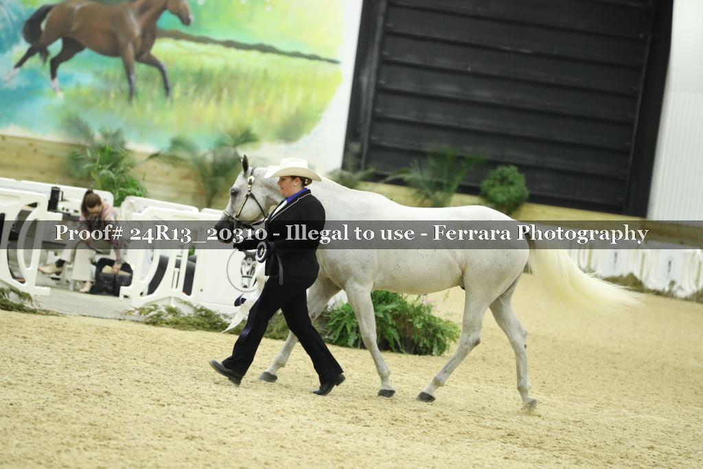 Proof 24R13_20310