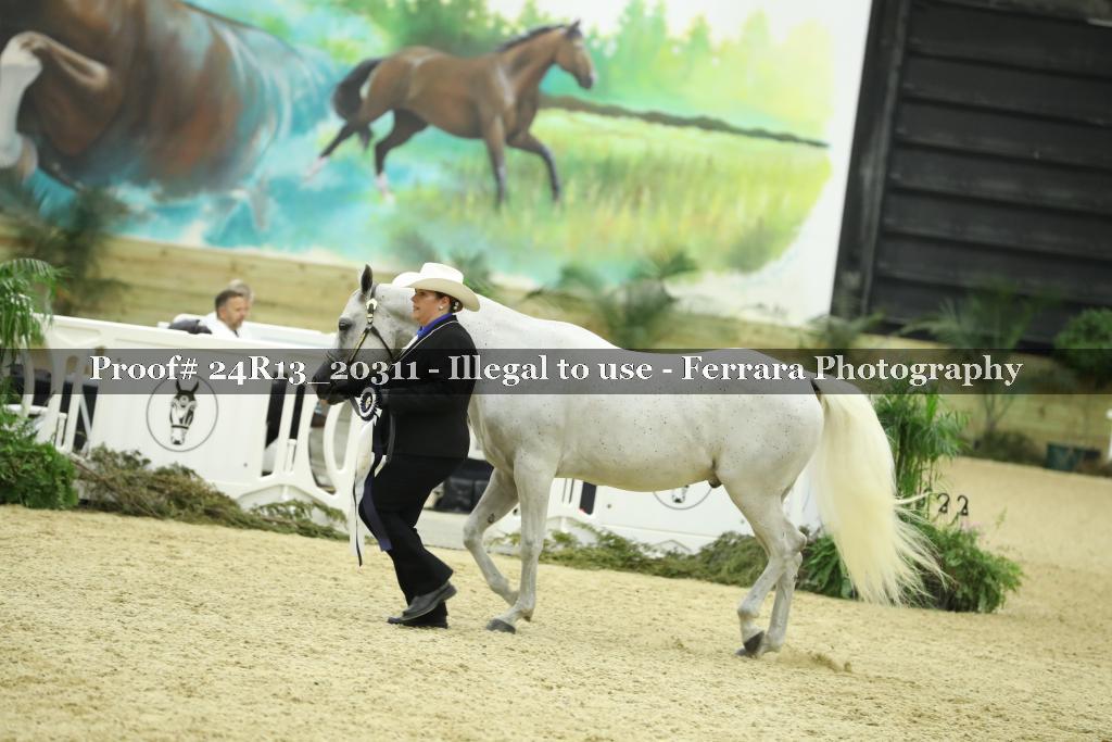 Proof 24R13_20311