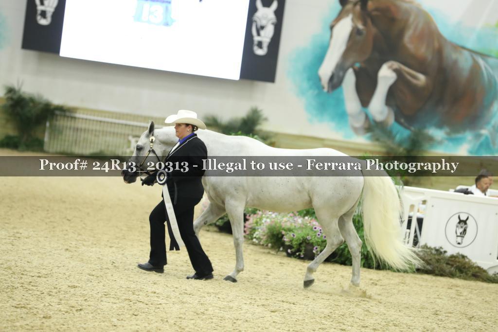Proof 24R13_20313