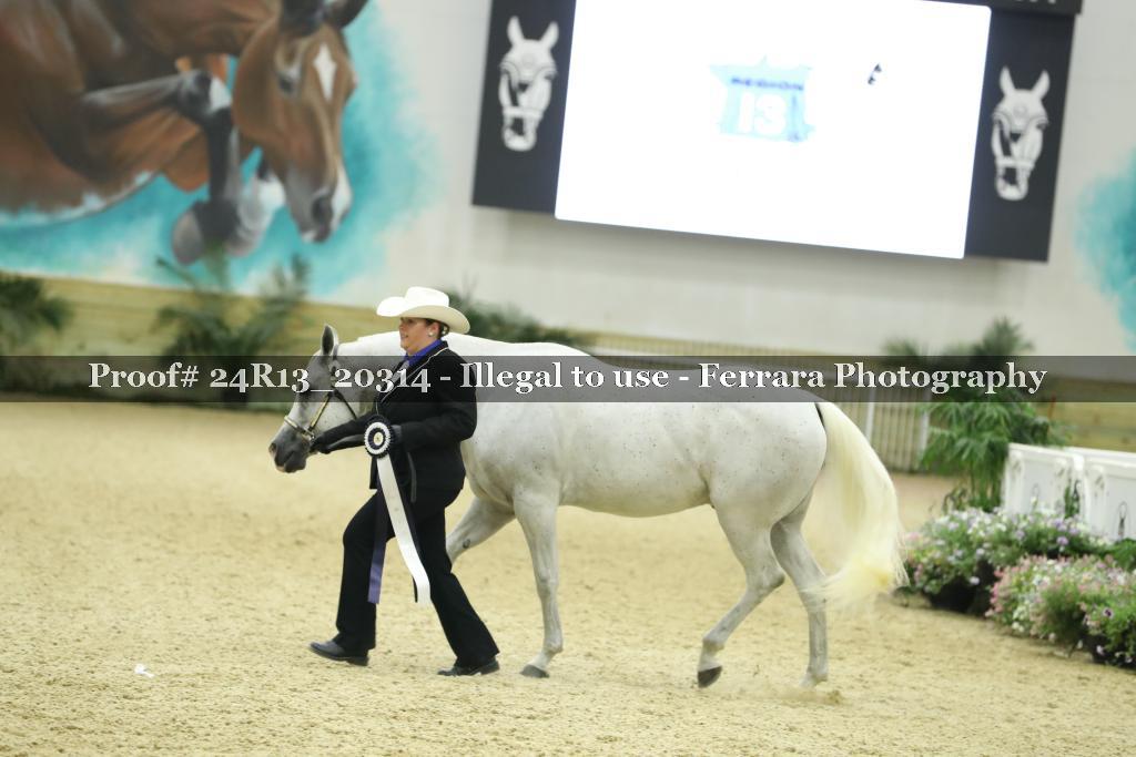 Proof 24R13_20314