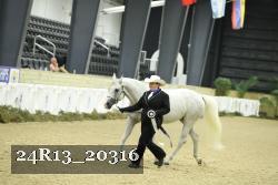 24R13_20316 proof