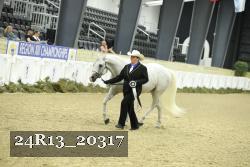 24R13_20317 proof