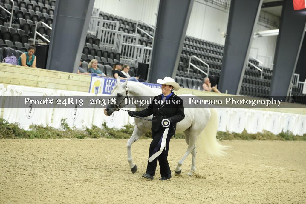 Proof 24R13_20318