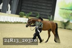 24R13_20320 proof