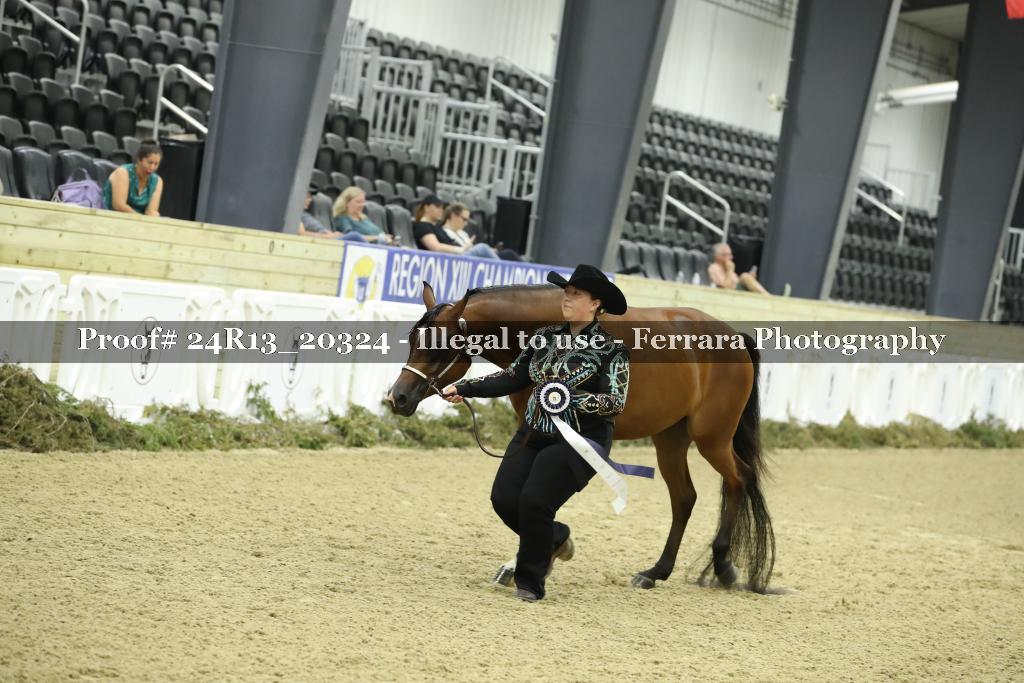 Proof 24R13_20324