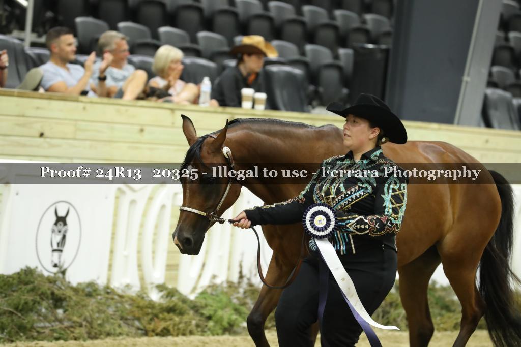 Proof 24R13_20325