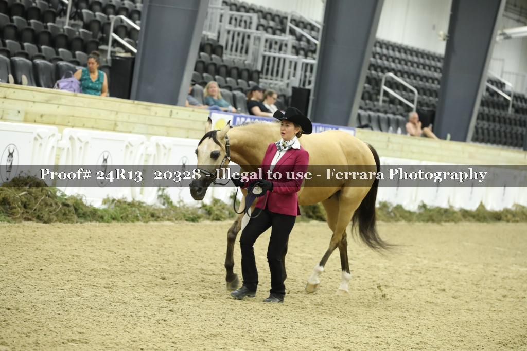 Proof 24R13_20328