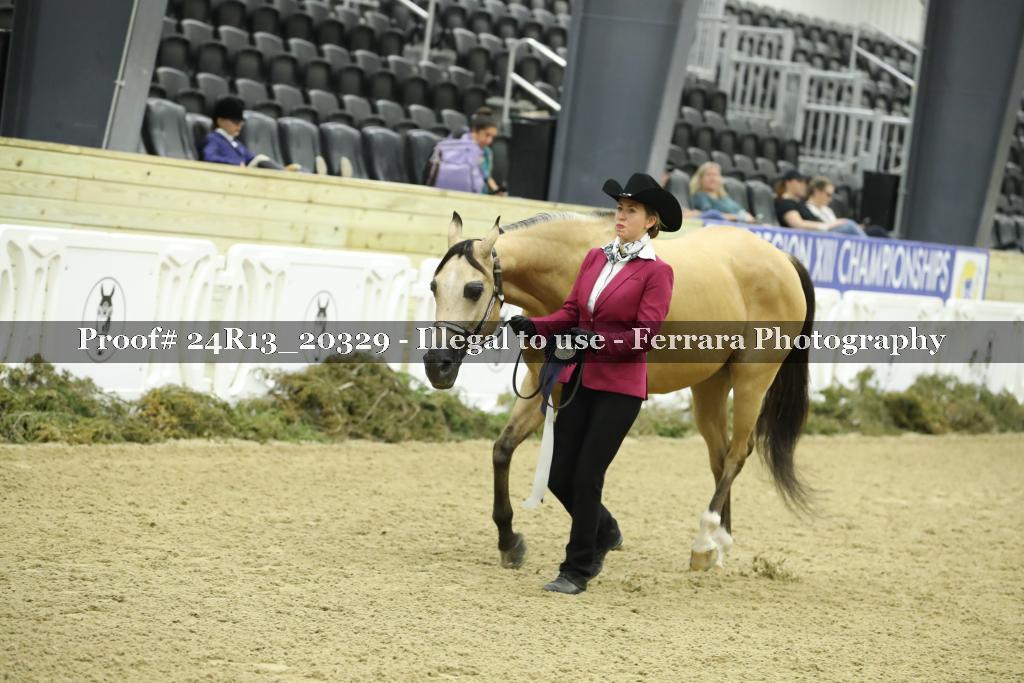 Proof 24R13_20329