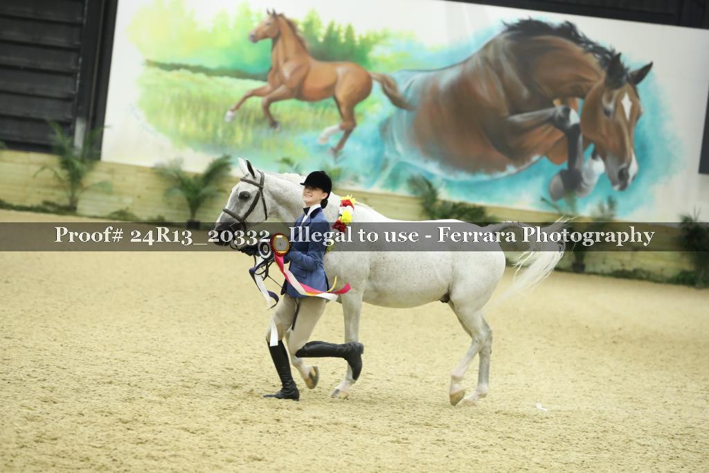 Proof 24R13_20332