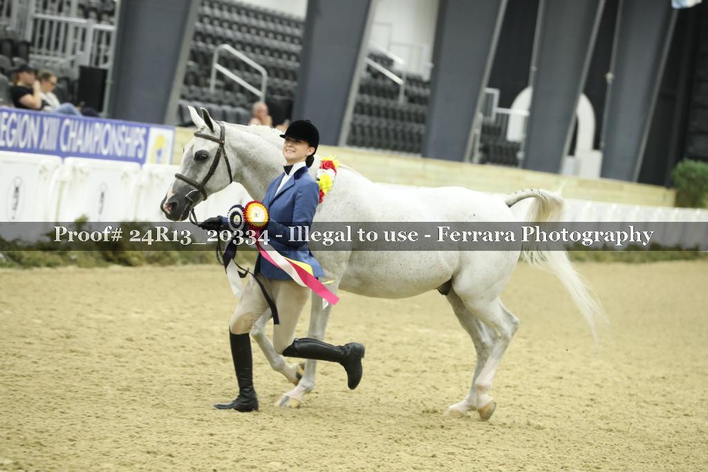 Proof 24R13_20334