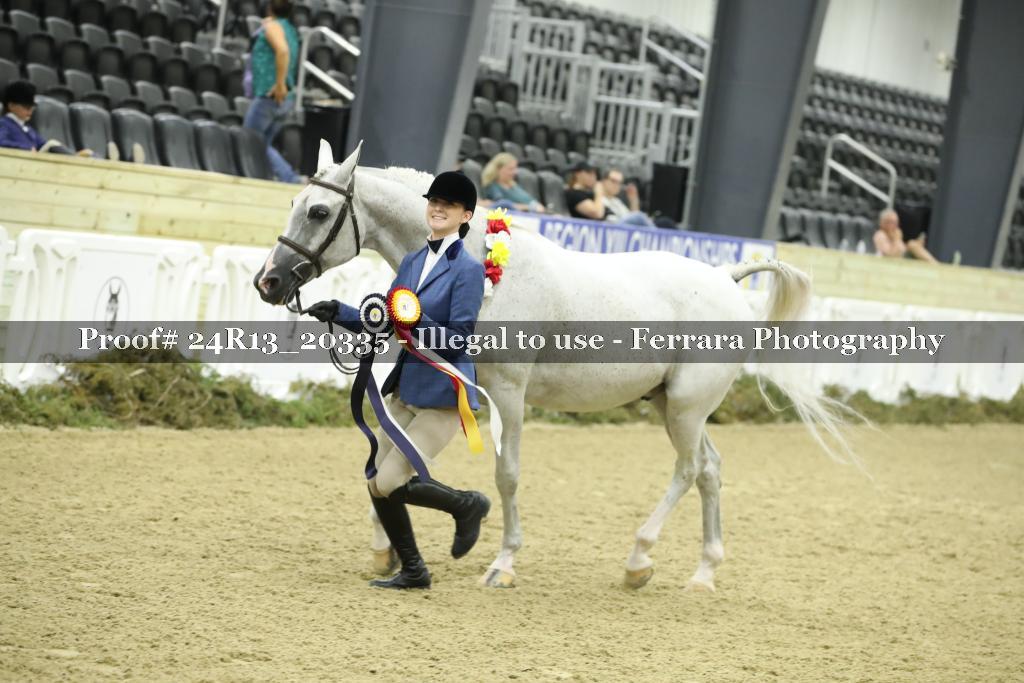Proof 24R13_20335