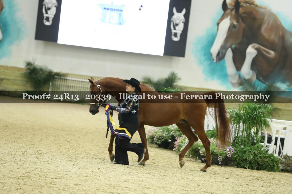 Proof 24R13_20339