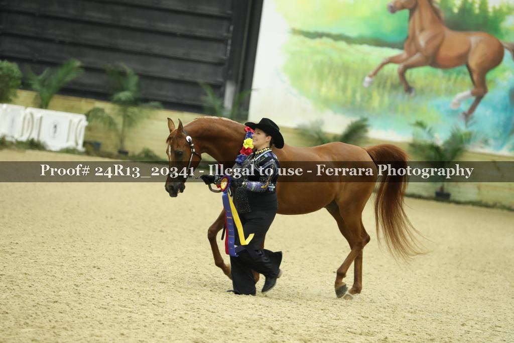 Proof 24R13_20341