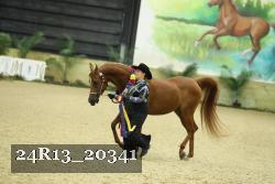 24R13_20341 proof
