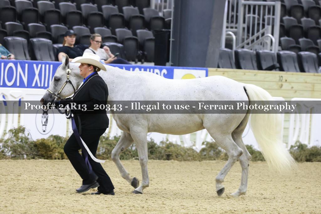 Proof 24R13_20343