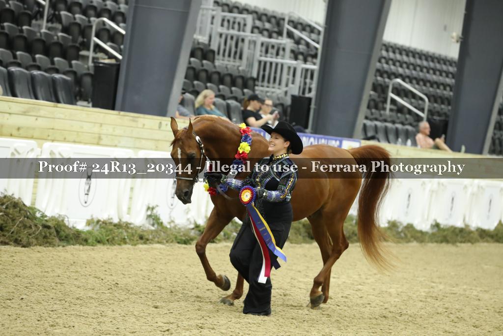 Proof 24R13_20344