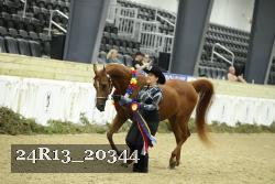 24R13_20344 proof