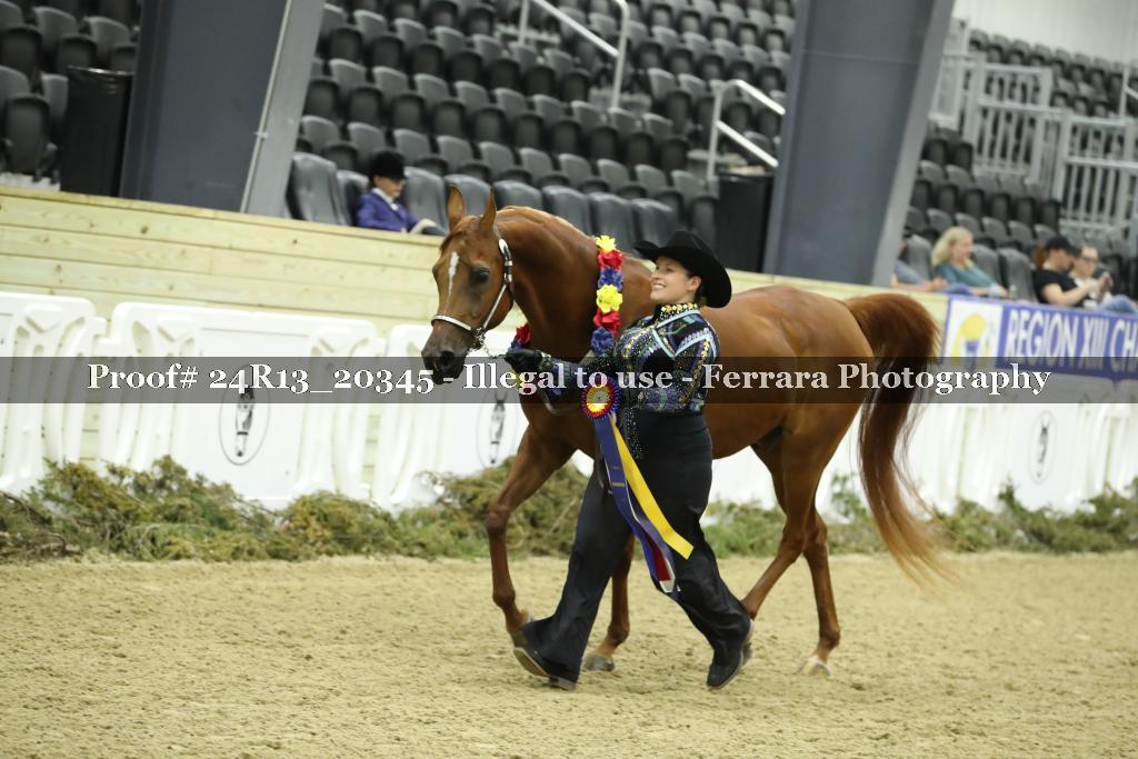 Proof 24R13_20345
