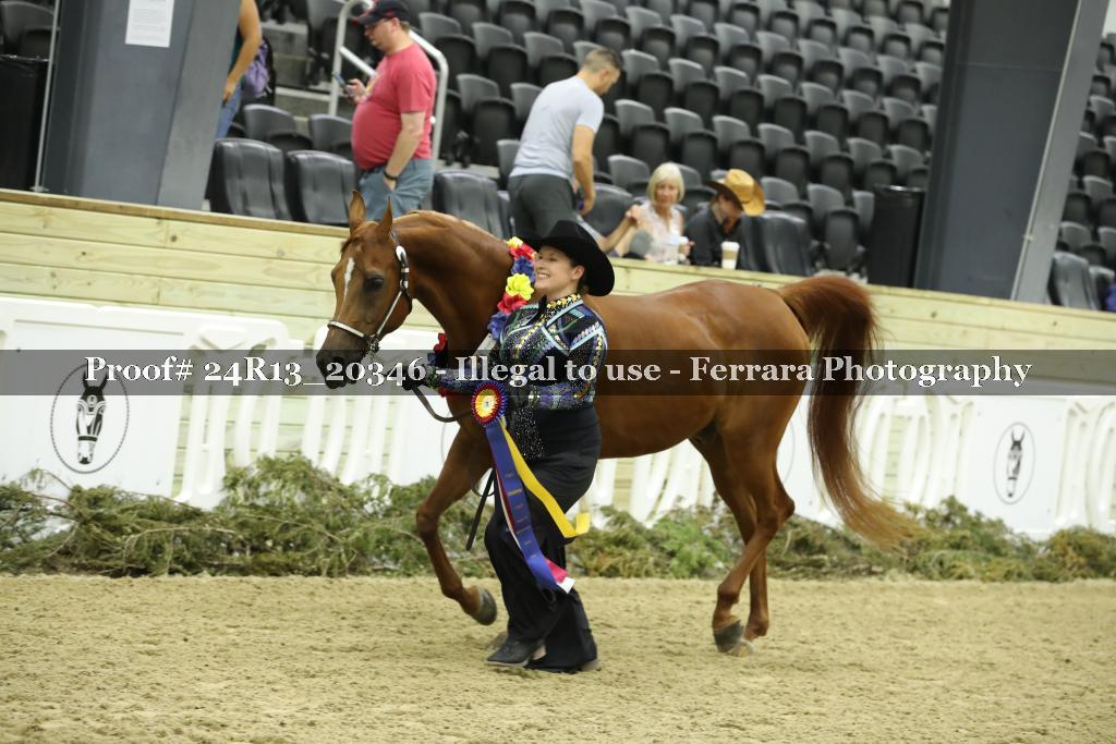 Proof 24R13_20346