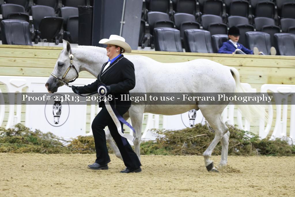 Proof 24R13_20348