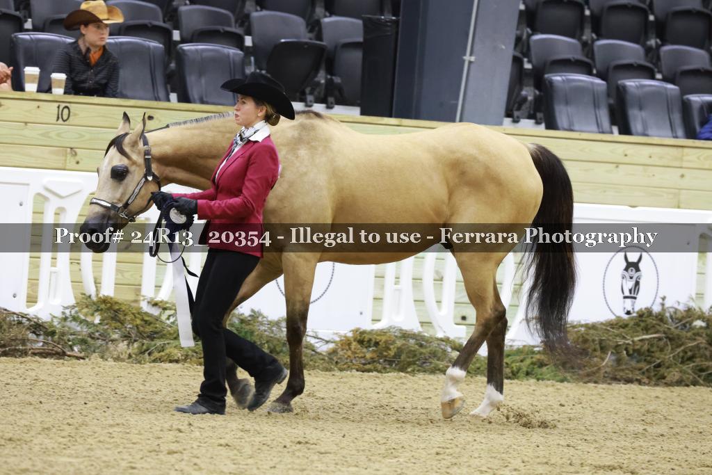 Proof 24R13_20354