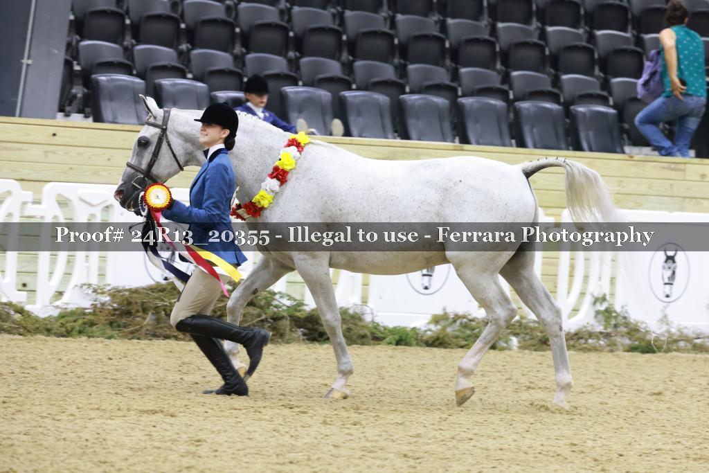 Proof 24R13_20355