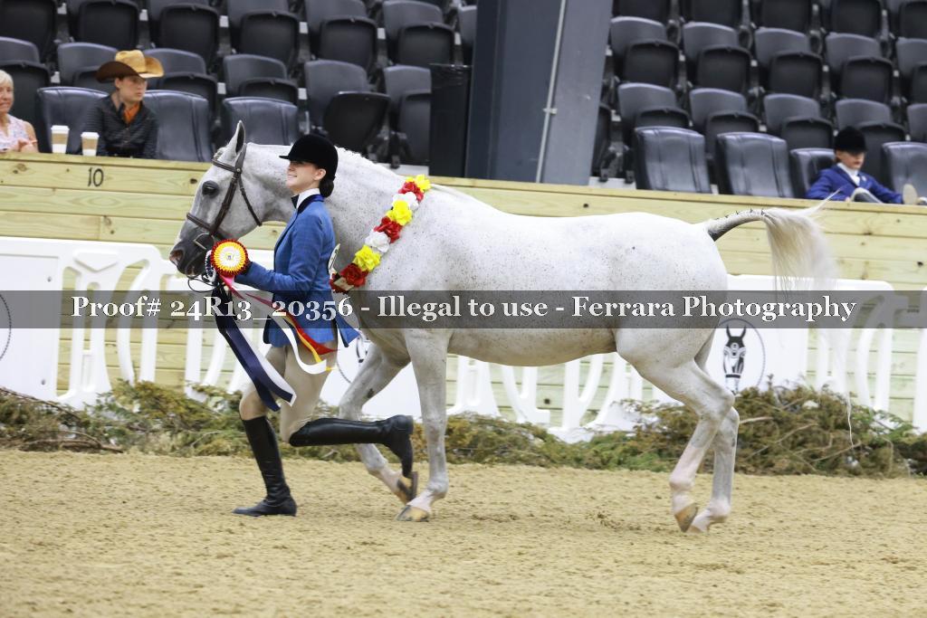 Proof 24R13_20356