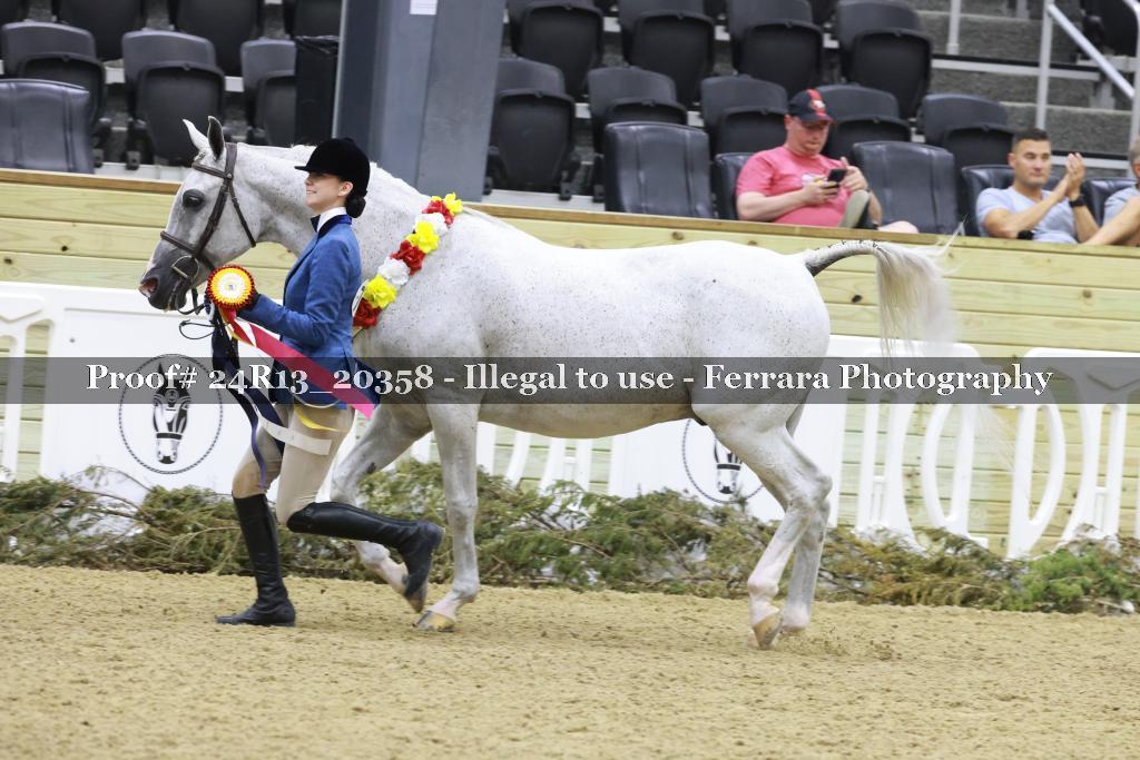 Proof 24R13_20358