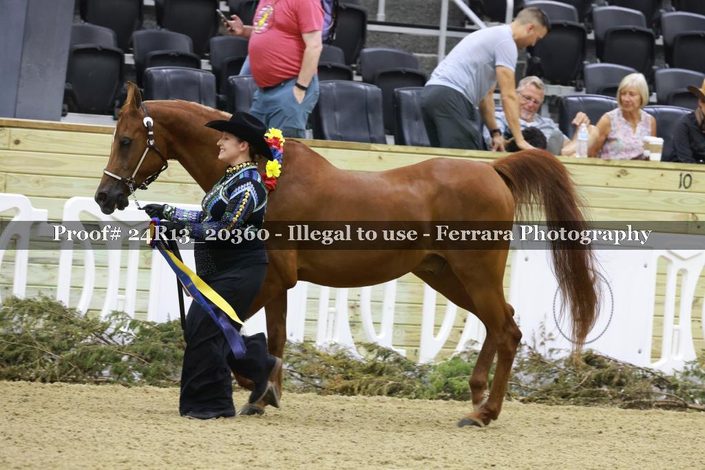 Proof 24R13_20360