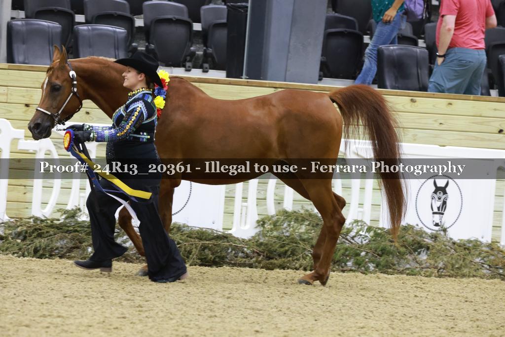Proof 24R13_20361