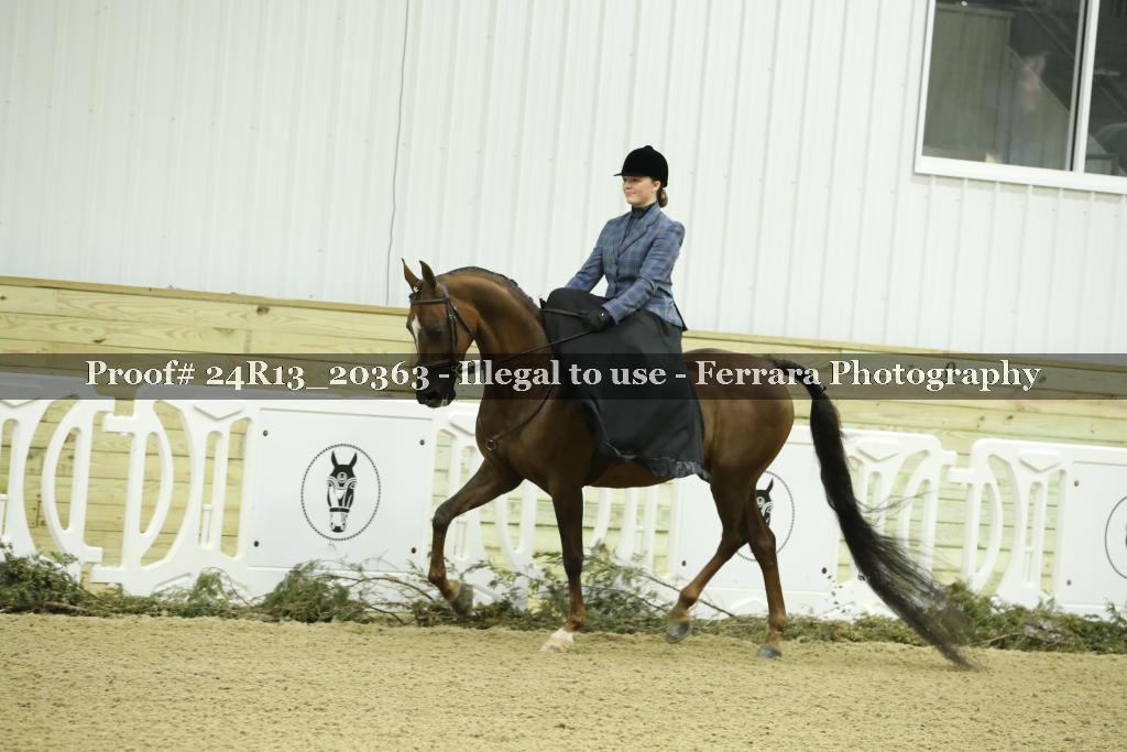 Proof 24R13_20363