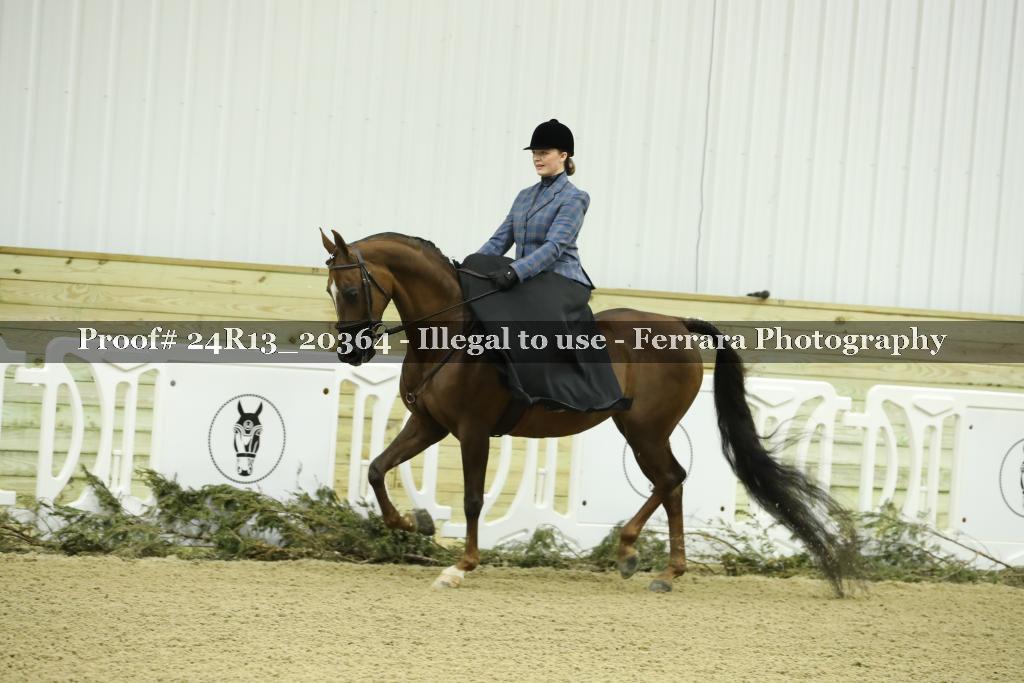 Proof 24R13_20364