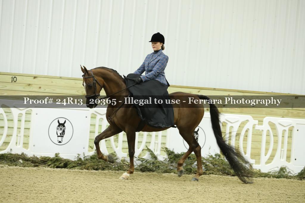 Proof 24R13_20365