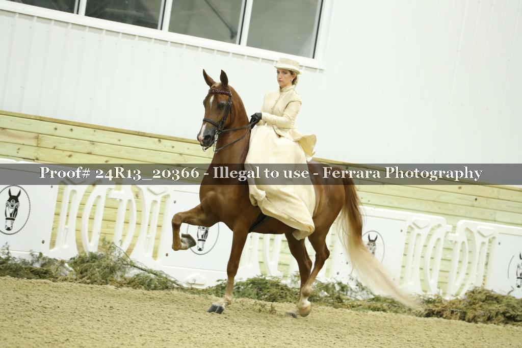 Proof 24R13_20366