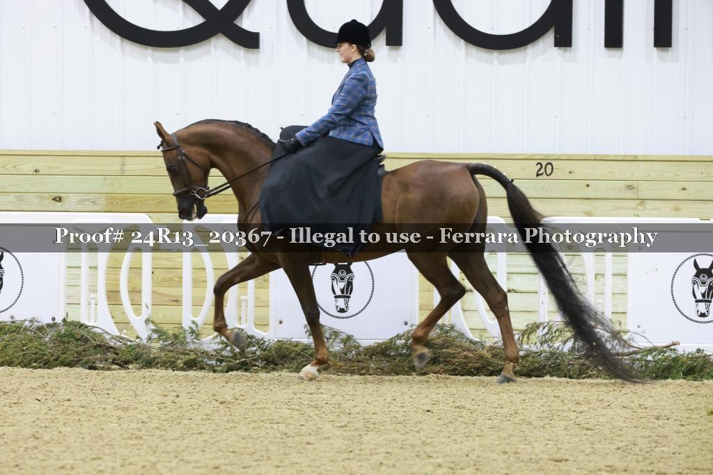 Proof 24R13_20367