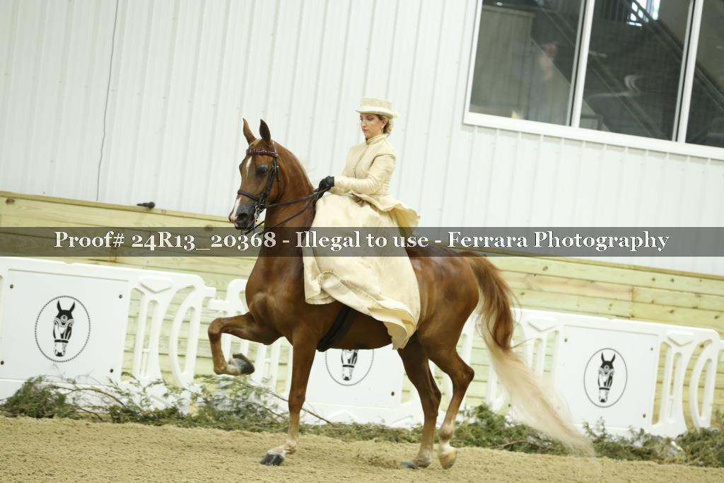 Proof 24R13_20368