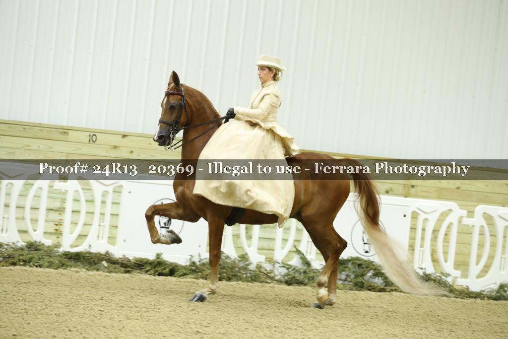 Proof 24R13_20369